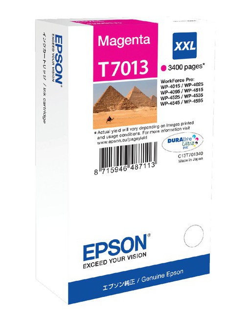 Inktcartridge Epson T7013...