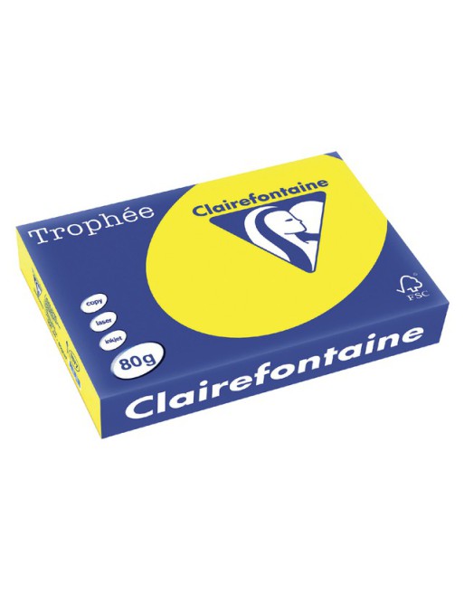 Kopieerpapier Trophee A4...