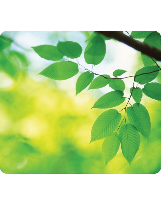 Muismat Fellowes natuur...