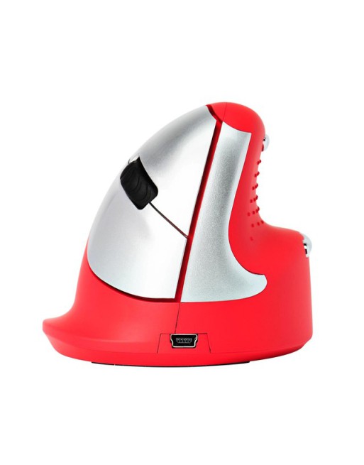 Ergonomische Muis R-Go...