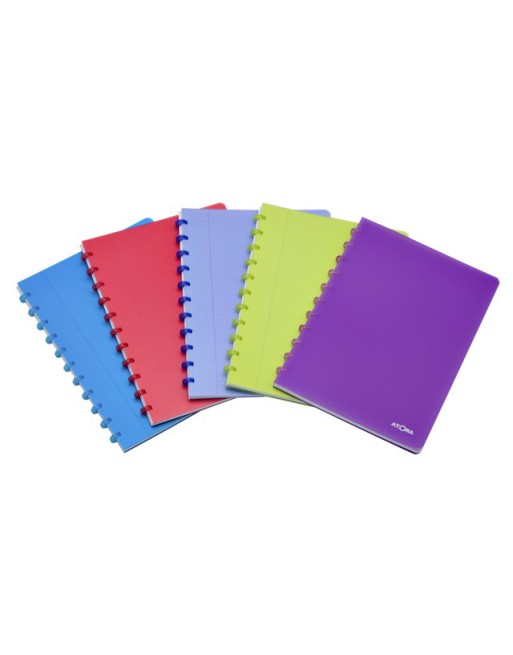 Schrift Atoma A4 ruit 5mm...