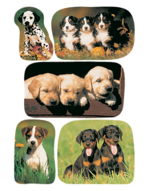 Etiket Herma honden