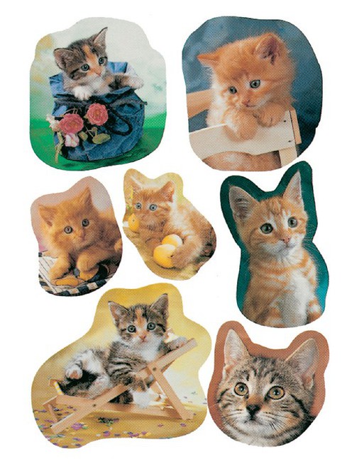 Etiket Herma katten