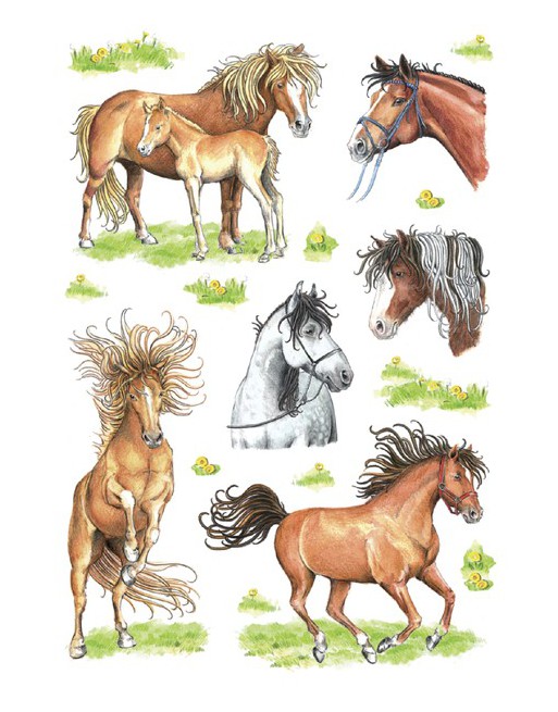 Etiket Herma getekende paarden