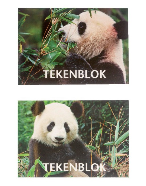 Tekenblok Papyrus A5 panda