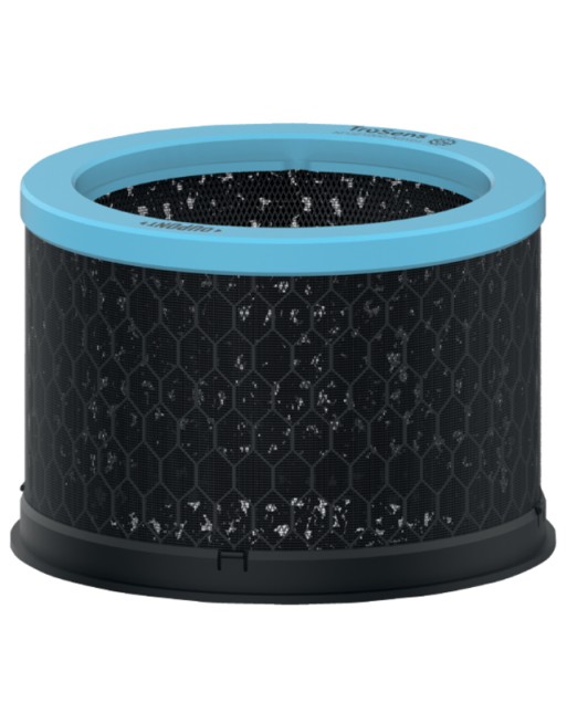 Filter koolstof allergie en...