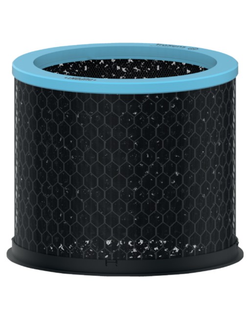 Filter koolstof allergie en...