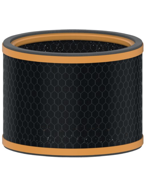 Filter koolstof geur en vos...