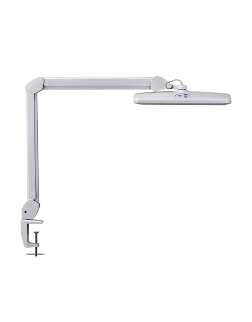 Werkpleklamp MAUL Intro LED...